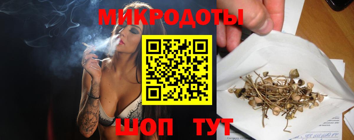 Галлюциногенные грибы прущие грибы Северск