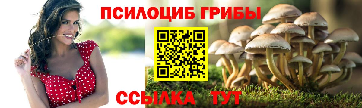 продажа наркотиков  Вход с VPN  Северск  Галлюциногенные грибы мухоморы 